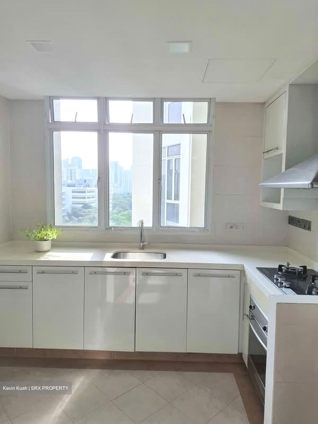 Alessandrea (D3), Apartment #541885091